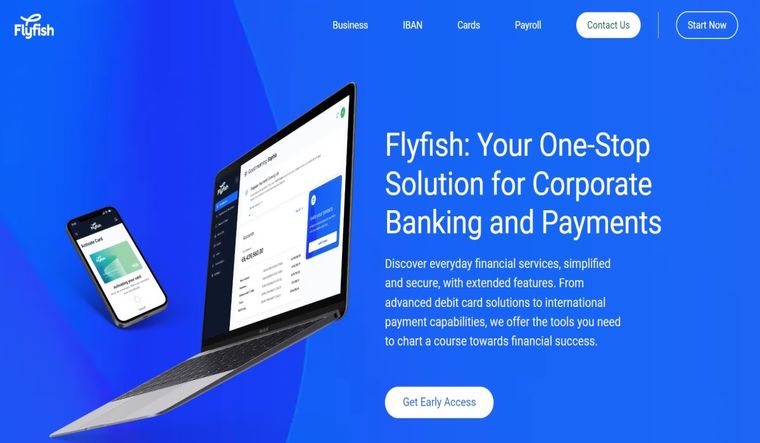 Flyfish Review – Receive Payments from Different Channels Seamlessly - Vimarsana News